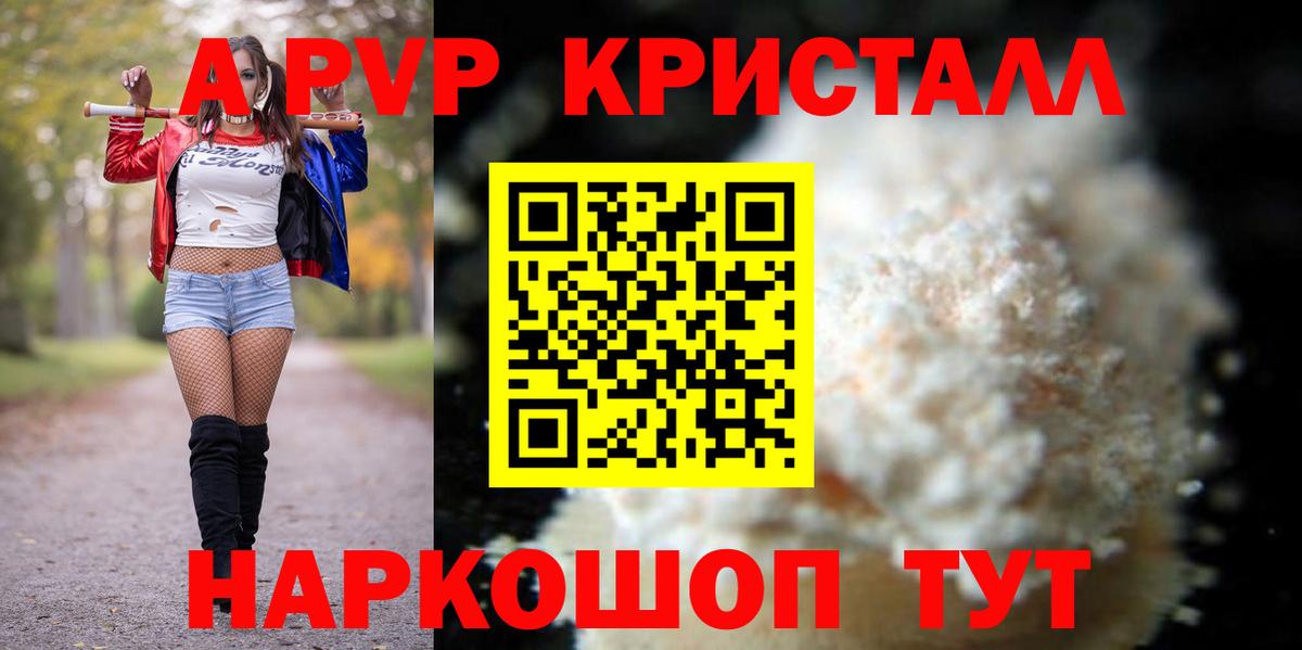 Альфа ПВП СК КРИС Горно-Алтайск