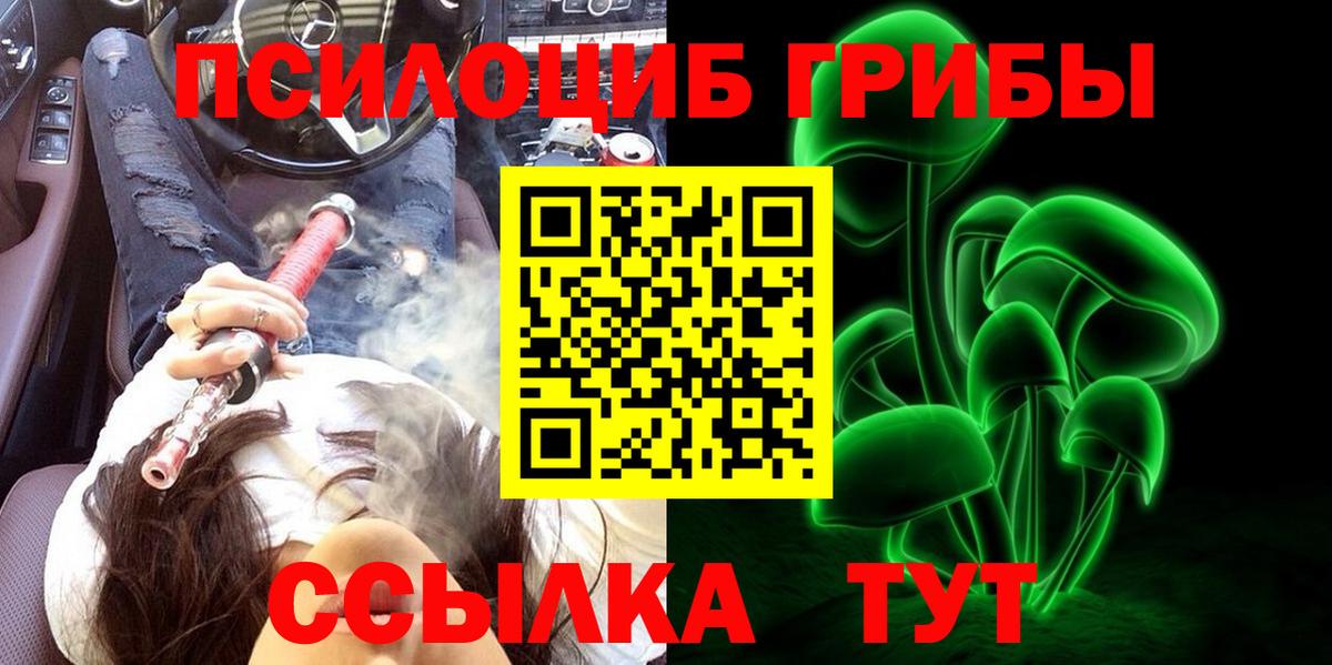 Галлюциногенные грибы мухоморы Горно-Алтайск