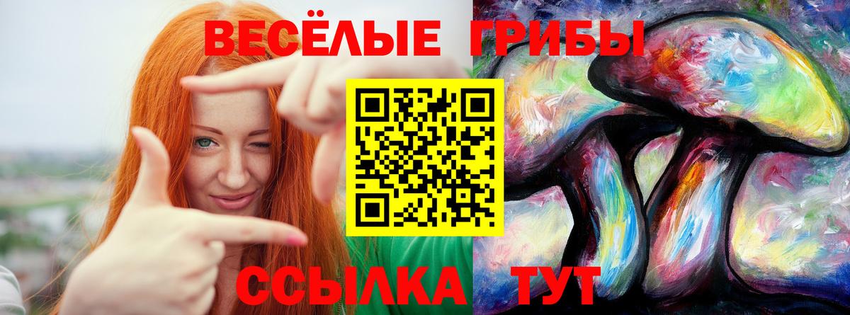 Галлюциногенные грибы Cubensis  Псилоцибиновые грибы GOLDEN TEACHER  Горно-Алтайск  Вход с VPN 